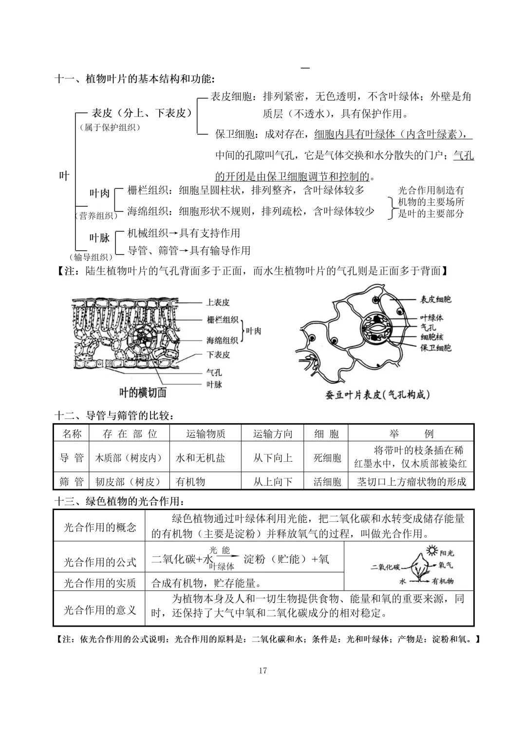 中考生物知识点总结(69页)-中考必备 第17张