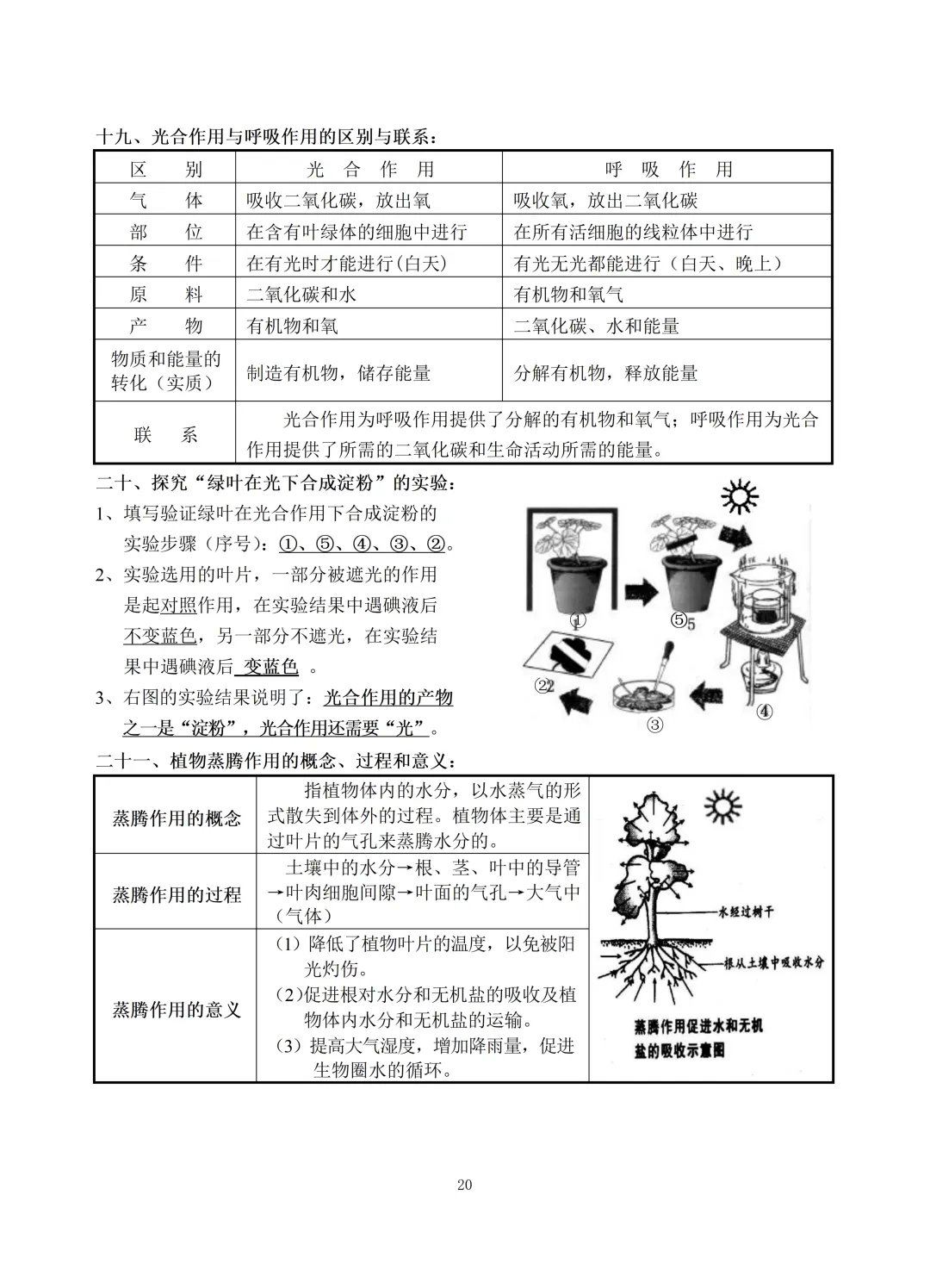 中考生物知识点总结(69页)-中考必备 第20张