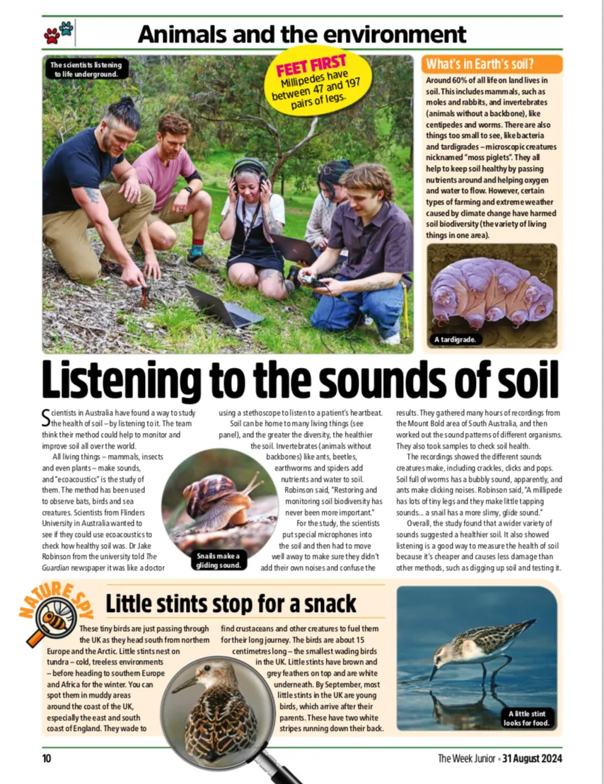 中考高考背诵营 背不完 不让走 坚持不了 随时退费 国际新闻 拓展视野 突破高考3500词汇 the week junior 455 1-11页 第10张