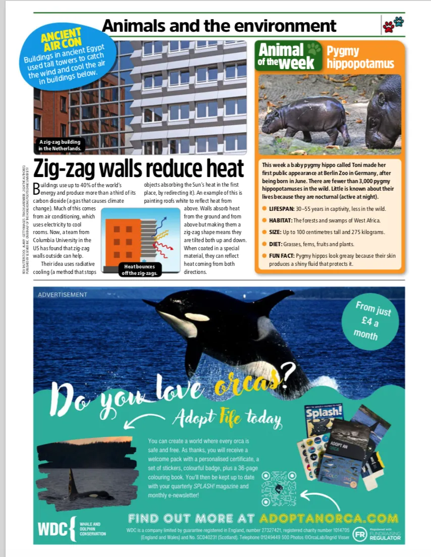 中考高考背诵营 背不完 不让走 坚持不了 随时退费 国际新闻 拓展视野 突破高考3500词汇 the week junior 455 1-11页 第11张