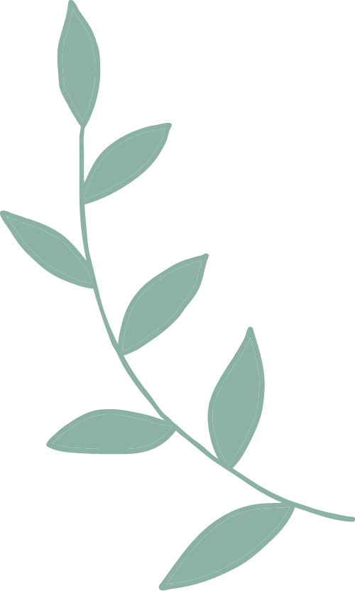 聚力·提质·向中考而行——云和县初中英语中考复习研讨会在我校举行 第5张