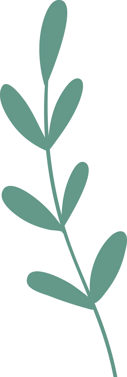 聚力·提质·向中考而行——云和县初中英语中考复习研讨会在我校举行 第10张