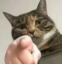 紧急提醒|中考倒计时2个多月!4.18讲座手把手教你避坑冲名校 第2张