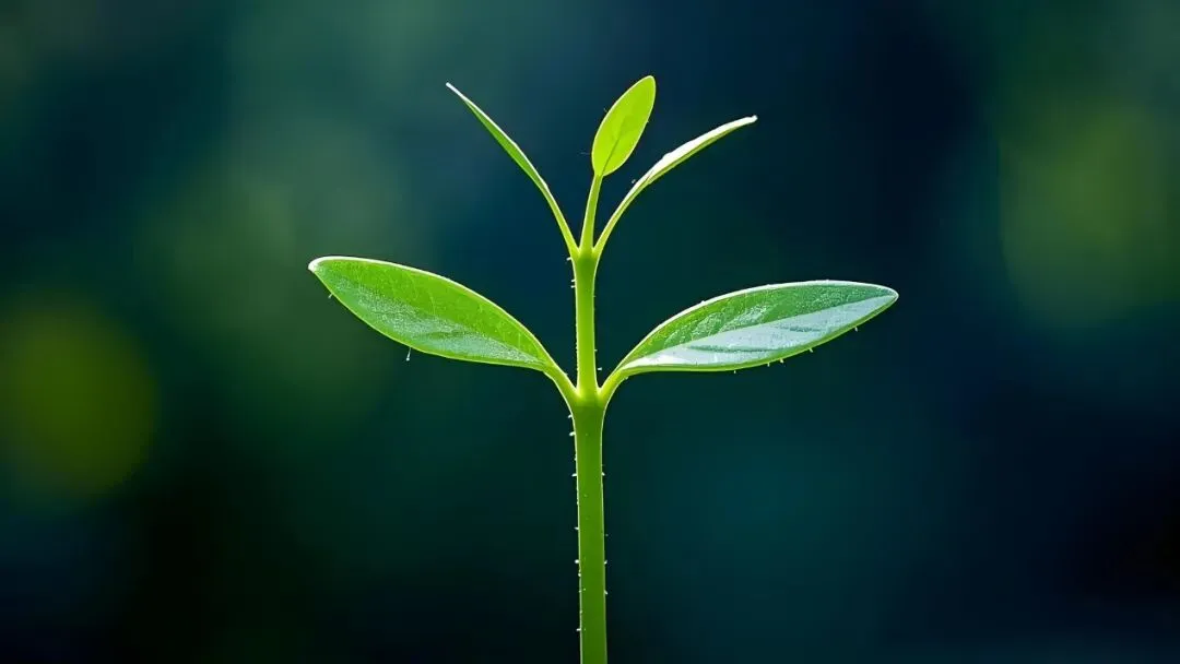 中考语文默写题型必备高频150句经典诗文(上篇) 第1张