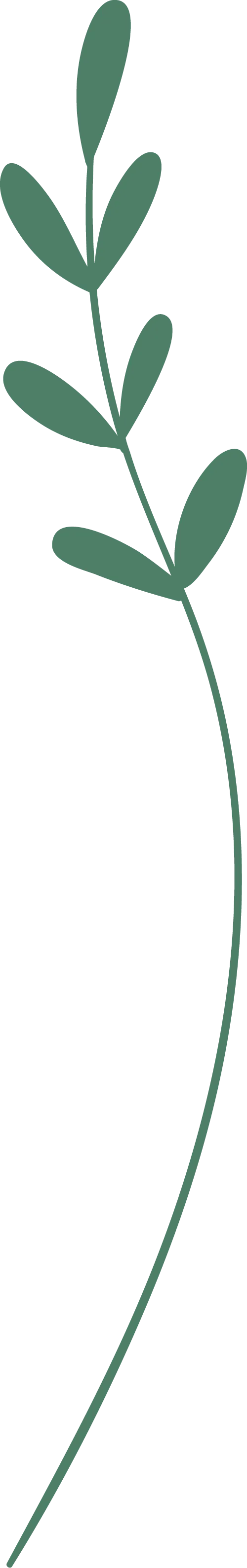 聚力·提质·向中考而行——云和县初中英语中考复习研讨会在我校举行 第50张