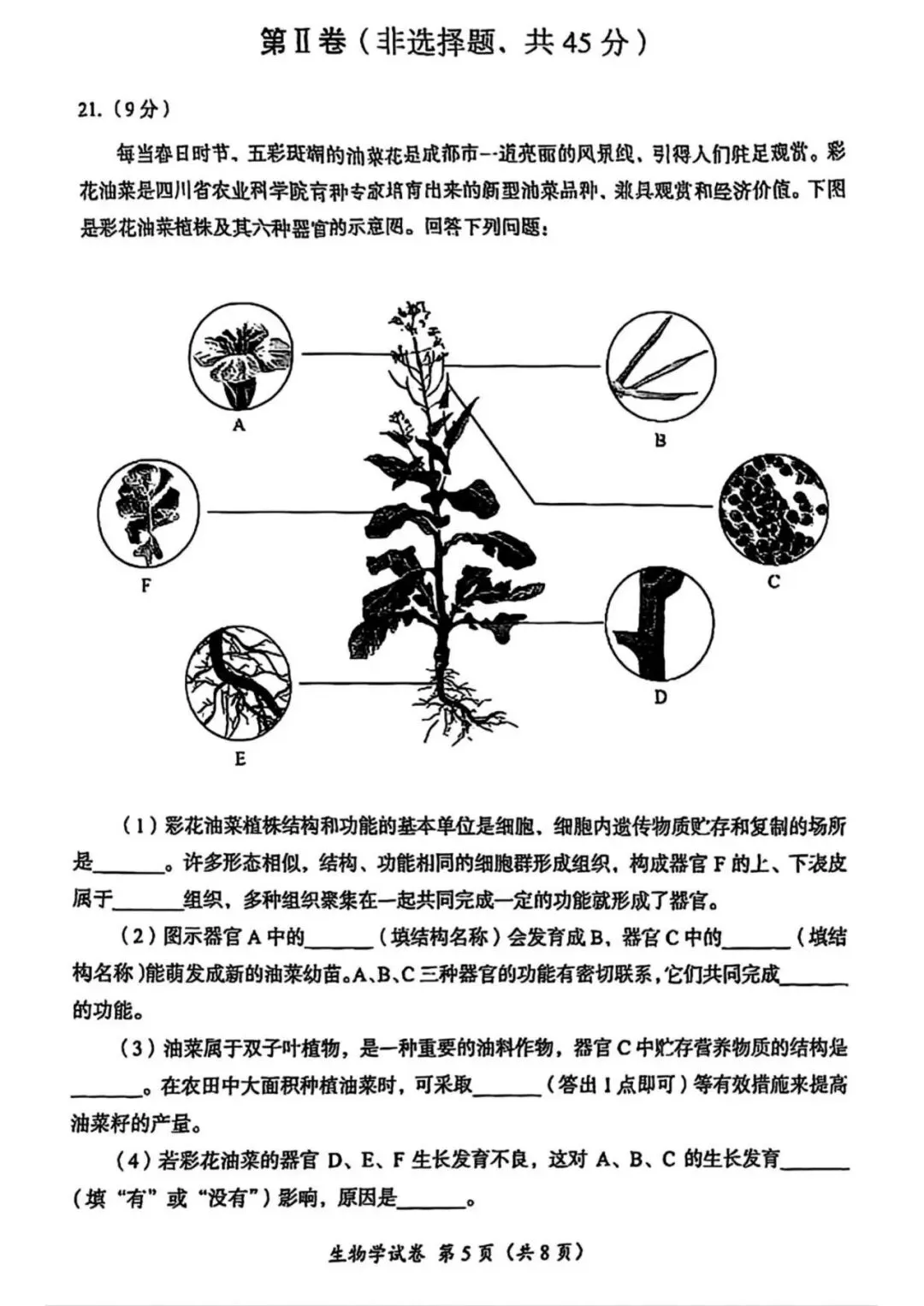 2025年成都市初中学业水平考试生物学试卷答案 第5张