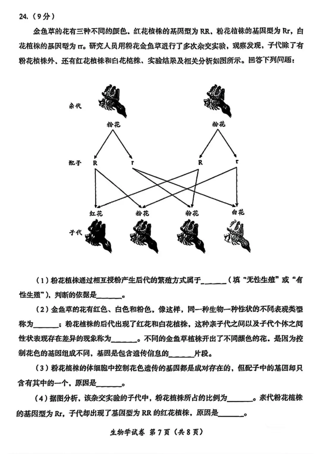 2025年成都市初中学业水平考试生物学试卷答案 第7张