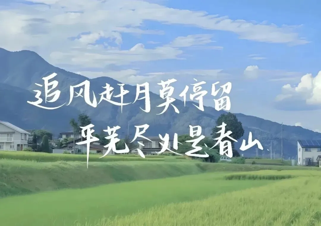 备考写作 | 中考英语【人与社会】主题下的十二大话题模板 第1张