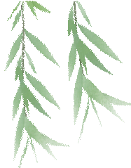 以研促教备中考 教研赋能提质效——福安市举办 2026 年初中主题教学教研开放活动 第28张