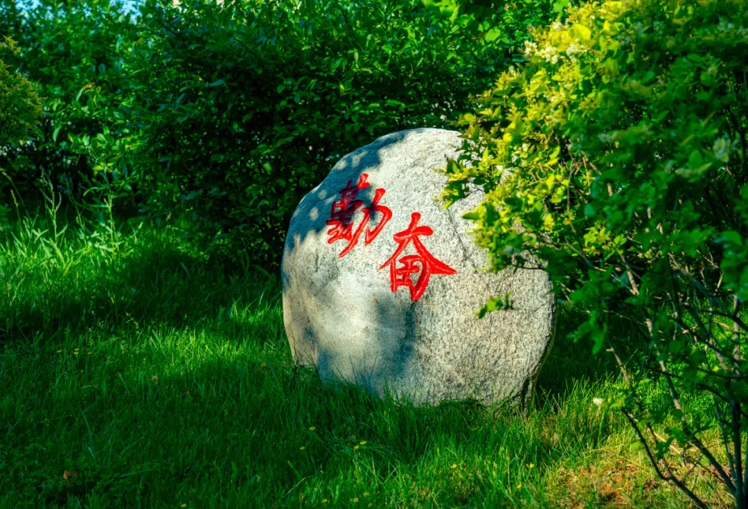 【教研教改】深耕几何教学 研思中考方向——陇西县思源实验学校开展初中数学半日教研活动 第14张