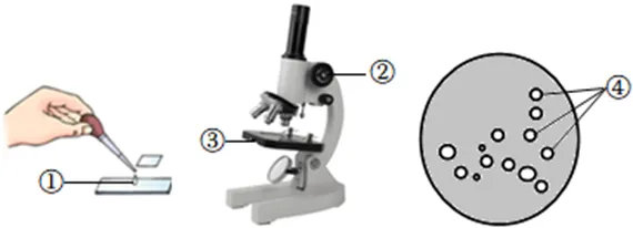 浙江中考科学2022——2024真题分类解析(四) 第1张