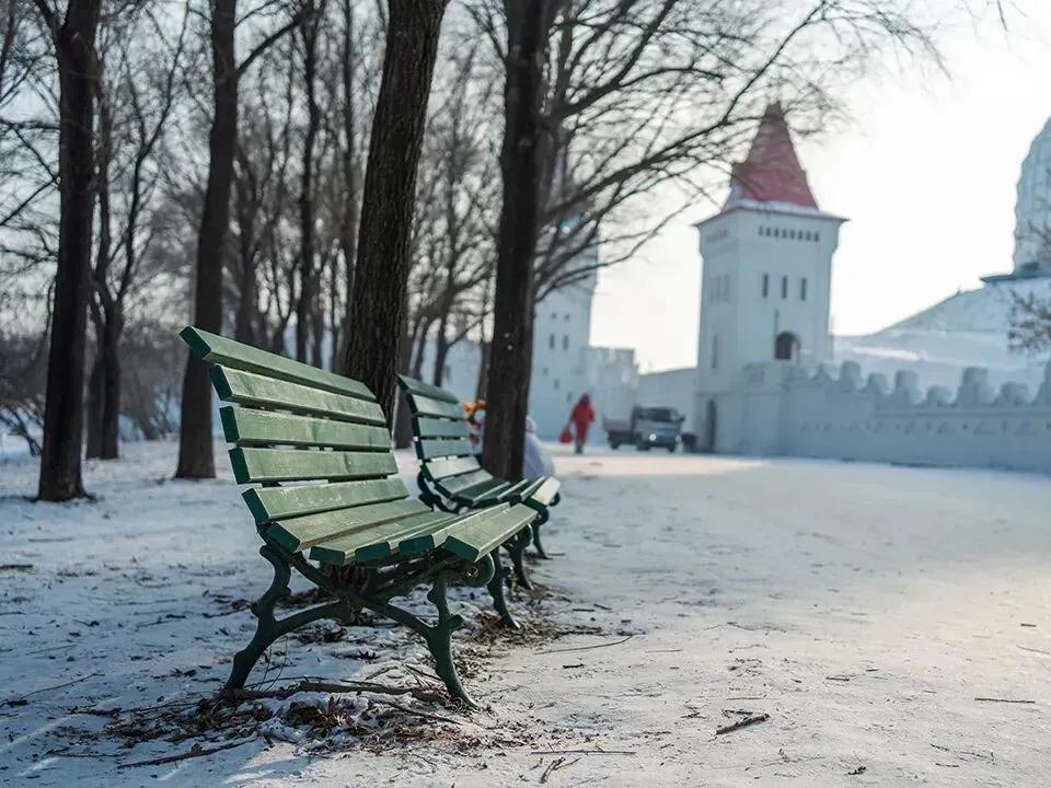 中考不焦虑,国际高中招生启动|泰国中国国际学校高一新生招募中!中泰融合,筑梦全球! 第42张