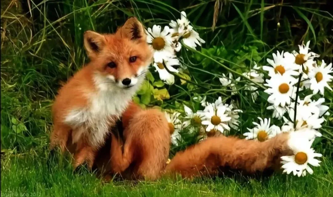 中考英语的突击 第1张