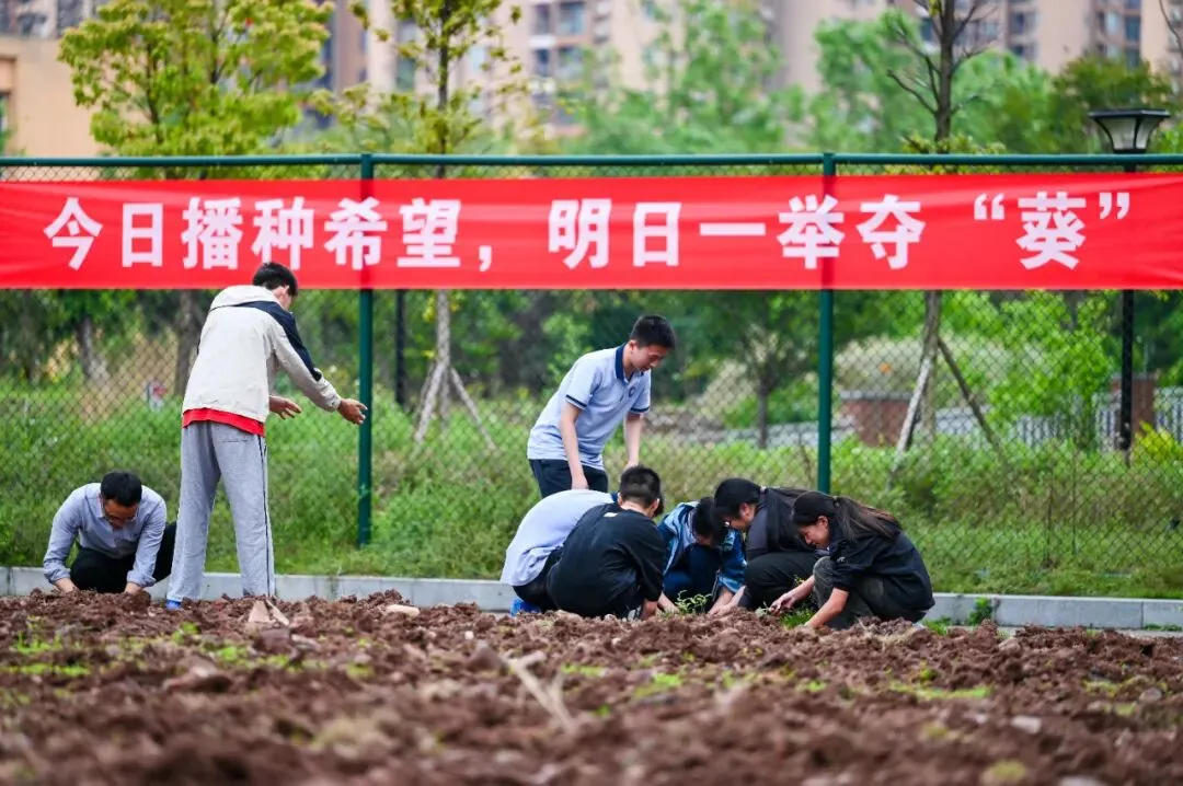 以春耕之勤,赴中考之约|星海学校 2026年春耕节启动暨中考动员仪式圆满举行 第42张