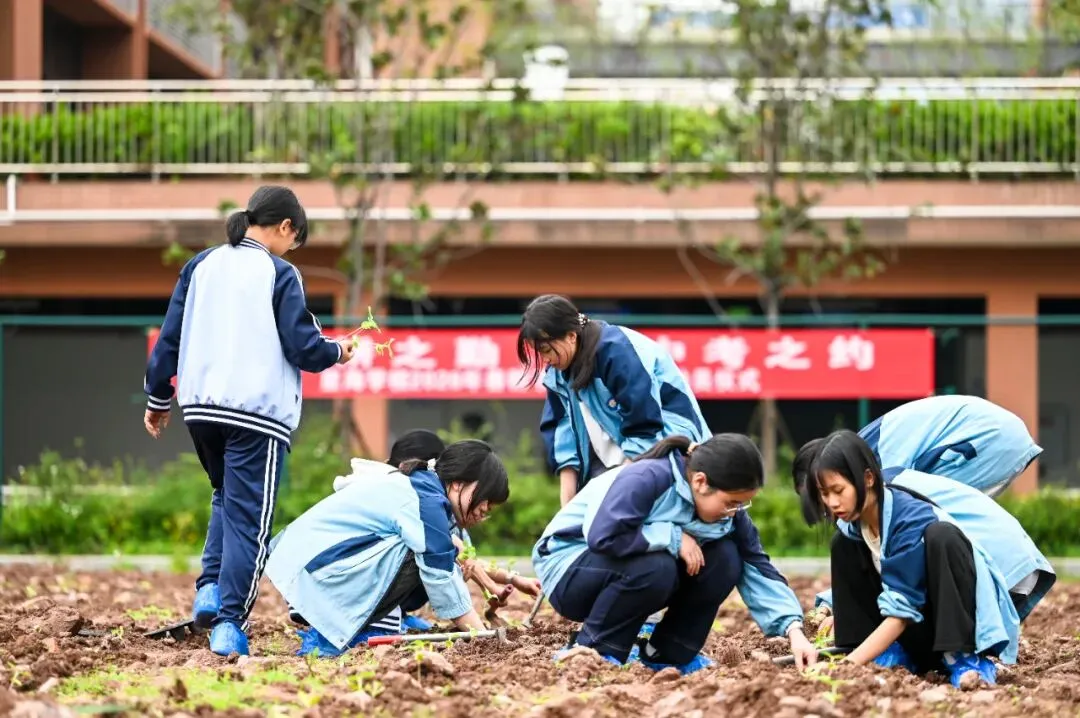 以春耕之勤,赴中考之约|星海学校 2026年春耕节启动暨中考动员仪式圆满举行 第44张