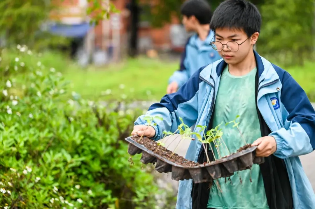 以春耕之勤,赴中考之约|星海学校 2026年春耕节启动暨中考动员仪式圆满举行 第46张