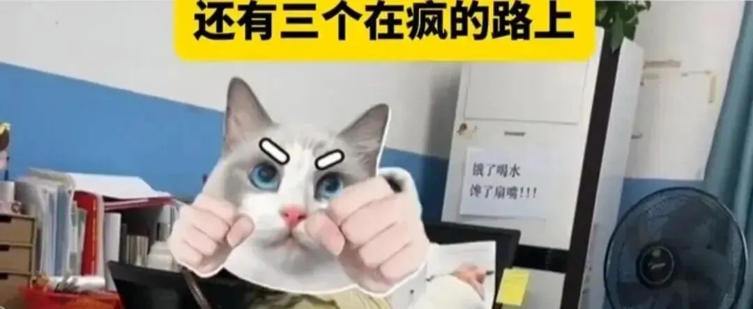 老师在办公室批改试卷,被小学生五花八门的答案气坏:送我去医院! 第3张