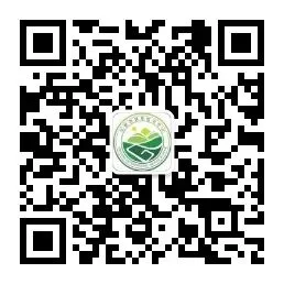 【谢岗实验 自强教育】研思践悟备中考,凝心聚力共成长——东莞中学谢岗实验学校英语科组专题教研活动圆满落幕 第19张