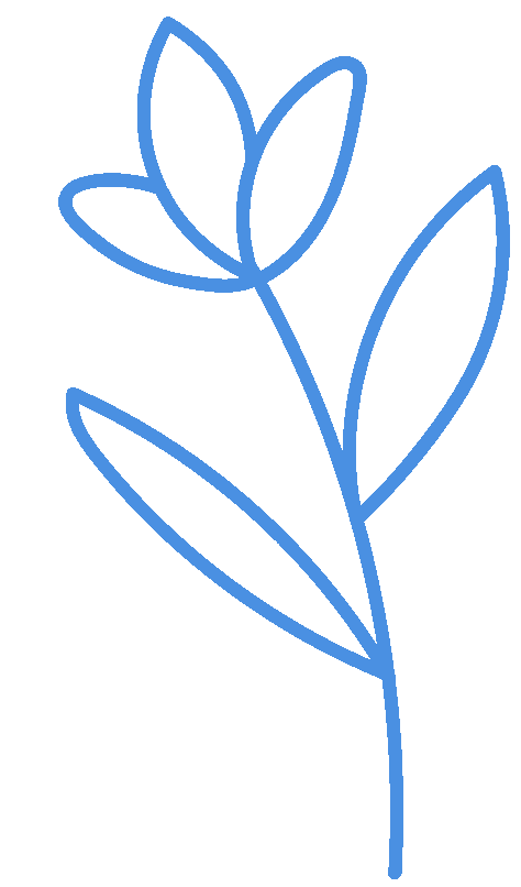 【期中资料】26春北师、苏教数学 期中试卷多套1-6年级下,电子版,可下载打印 第1张