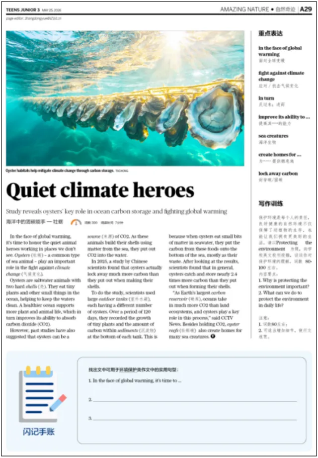 中考备考时间紧,好素材难找?别慌,TEENS中考特辑,陪你高效备考~ 第27张