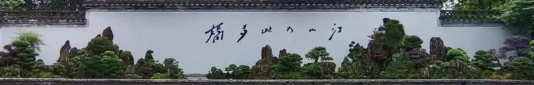 致中考体测与实验考生:逐梦赛场 第1张