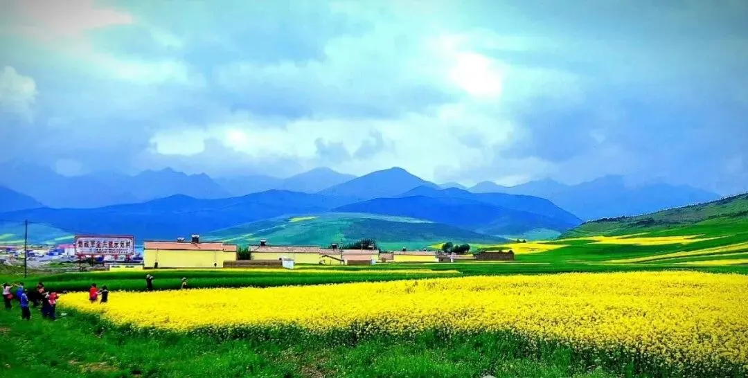 中考英语作文满分冲刺(热点预测+范文赏析) 第9张