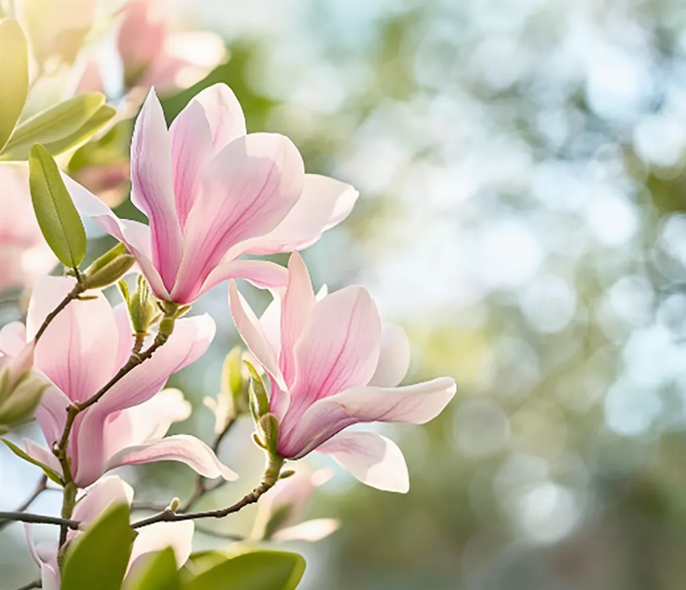 深研“双新”中考复习 赋能课堂提质增效—— 经开区 2026 届初中物理大单元专题复习研修活动在万春中学圆满举行 第2张