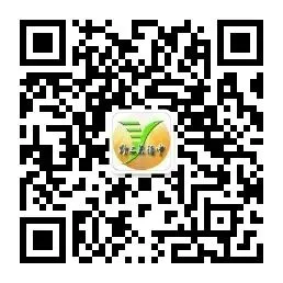 策马扬鞭备中考,语文逐梦正当时 ——巴东县2026年初中语文复习备考活动纪实 第21张