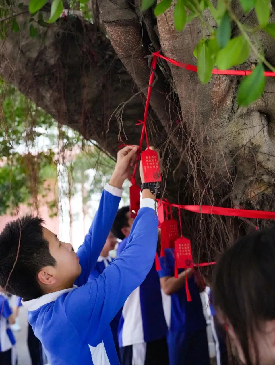 策马扬鞭酬壮志,决胜中考铸辉煌 | 2026届初三年级一模表彰暨动员大会圆满举行 第56张