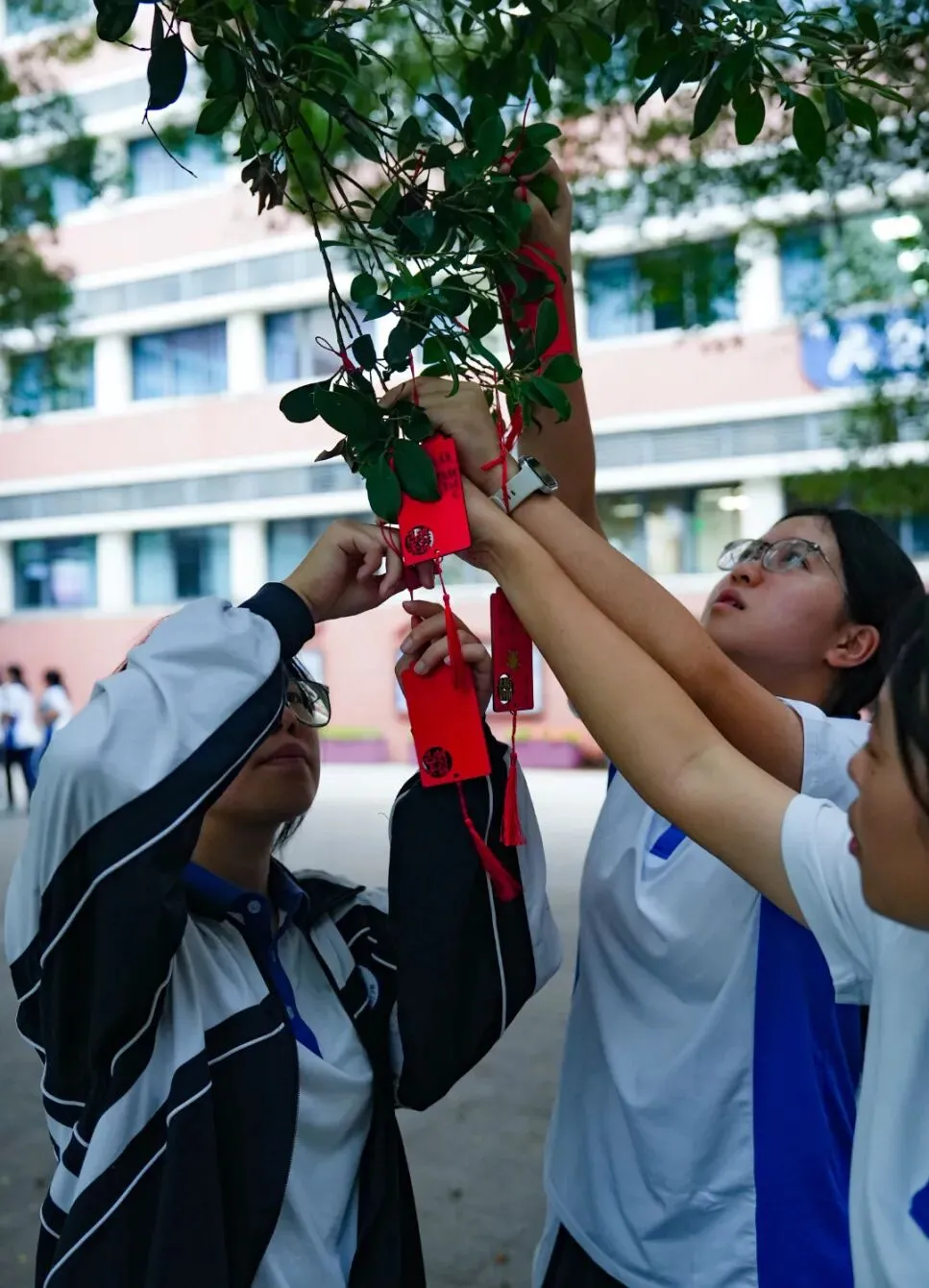 策马扬鞭酬壮志,决胜中考铸辉煌 | 2026届初三年级一模表彰暨动员大会圆满举行 第58张
