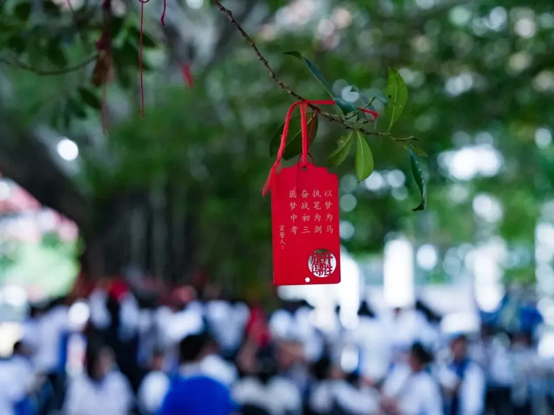 策马扬鞭酬壮志,决胜中考铸辉煌 | 2026届初三年级一模表彰暨动员大会圆满举行 第59张