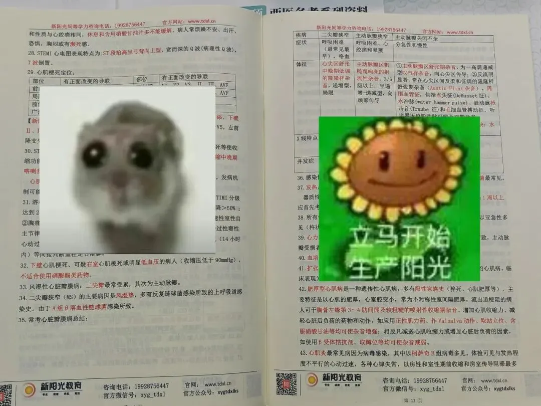 考试倒计时30天!考前背记、模拟考卷发放中,请及时取件! 第9张