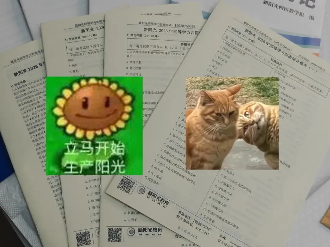 考试倒计时30天!考前背记、模拟考卷发放中,请及时取件! 第10张