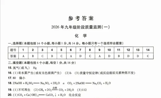 出炉!26年河南中原名校大联考中考一模(7科全)试卷及答案,点击下载 第17张