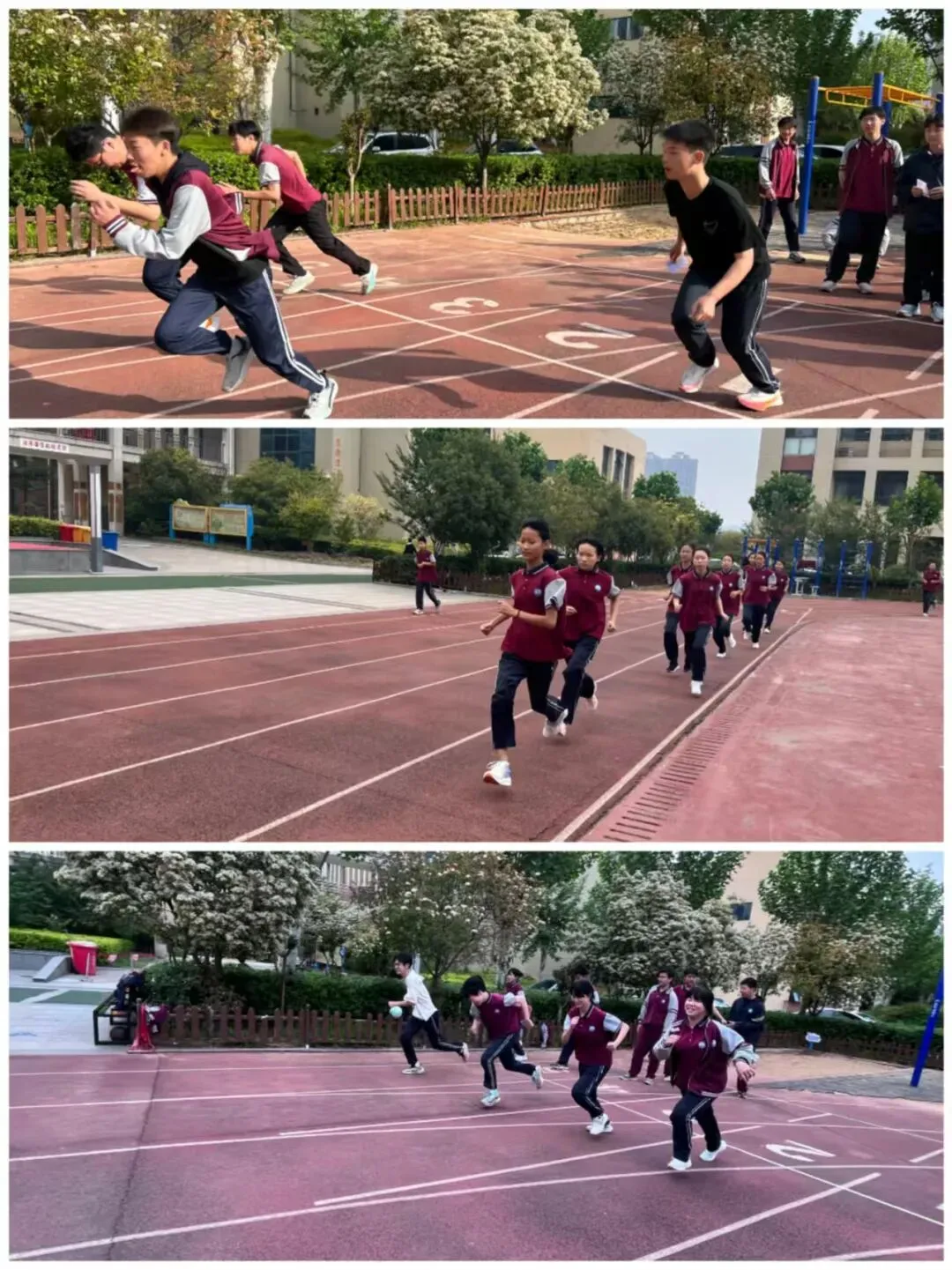 备战中考|厉兵秣马备体考 青春逐梦正当时——郑州市二七区嵩山路学校九年级备战体育 第16张