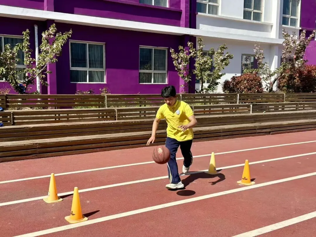 以实战淬炼真功 以模拟决胜中考 第16张