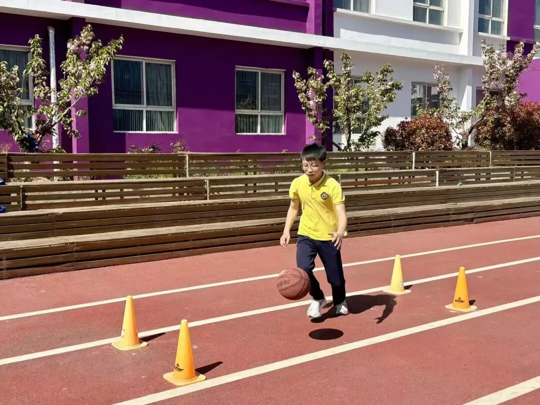 以实战淬炼真功 以模拟决胜中考 第17张