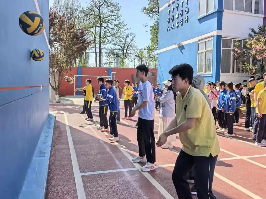 以实战淬炼真功 以模拟决胜中考 第18张