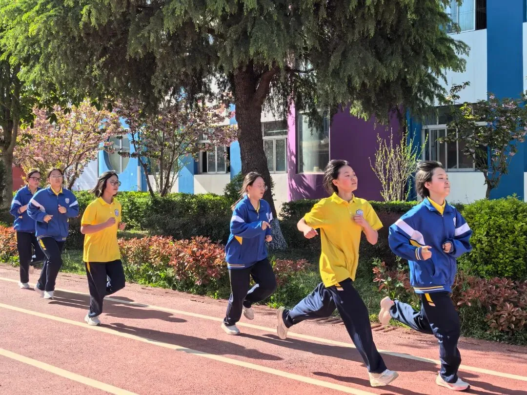 以实战淬炼真功 以模拟决胜中考 第23张