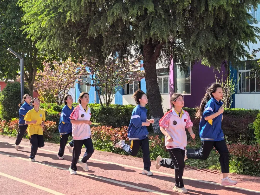 以实战淬炼真功 以模拟决胜中考 第24张