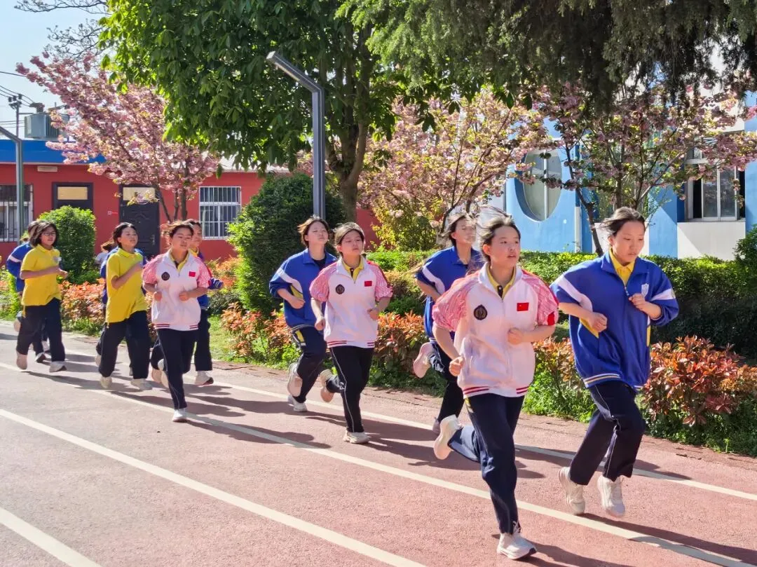 以实战淬炼真功 以模拟决胜中考 第25张