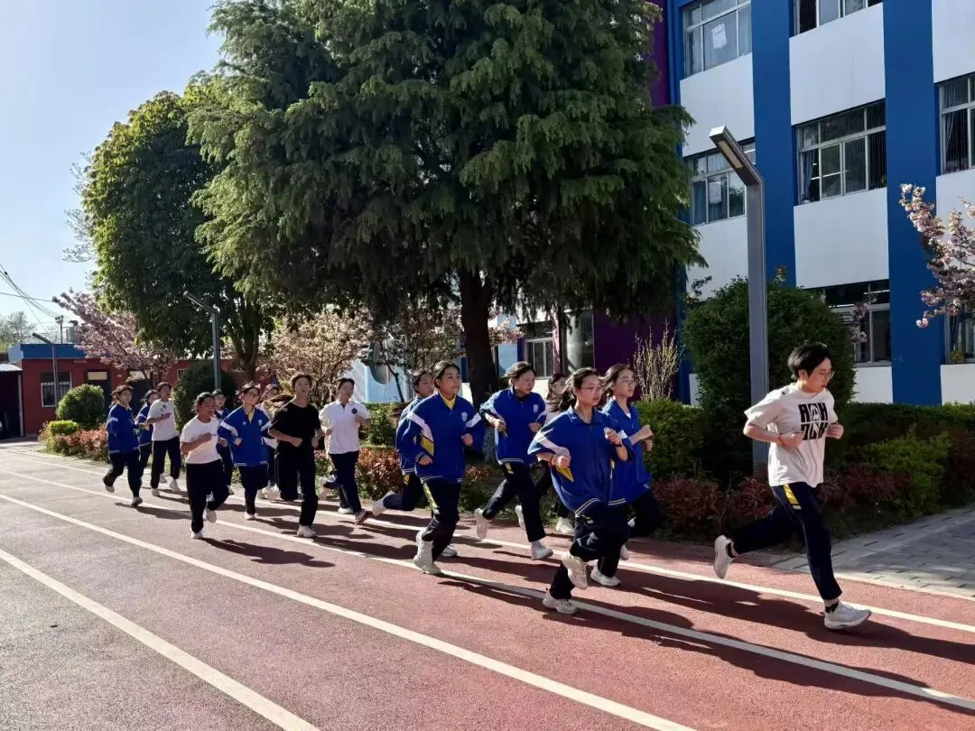 以实战淬炼真功 以模拟决胜中考 第29张