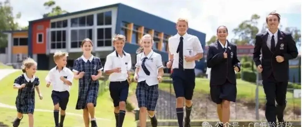 中考后去澳洲读书,是“太早”还是“刚刚好”? 第20张