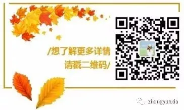 【体育中考】 四月冲关,青春破茧——初四体考备战纪实 第1张