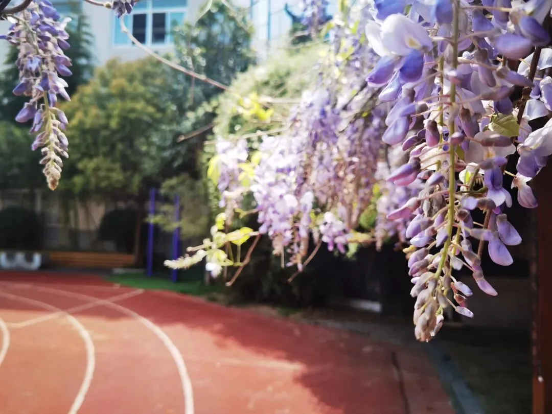 距中考58天丨交替读背,效率翻倍 第4张