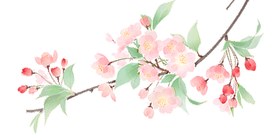 事关中考!今天各路英语名师齐聚日升! 第13张