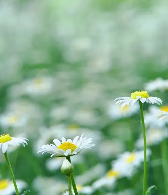 中考英语写作话题(一) 第2张