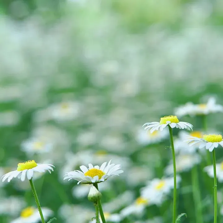 中考英语写作话题(一) 第3张