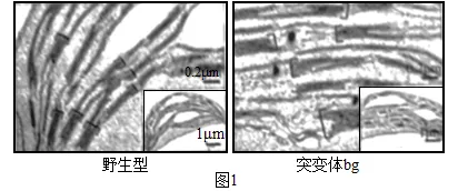 高考真题 | 每日一题(251) 第2张