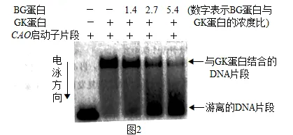高考真题 | 每日一题(251) 第3张